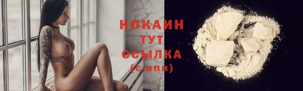 spice Лиски