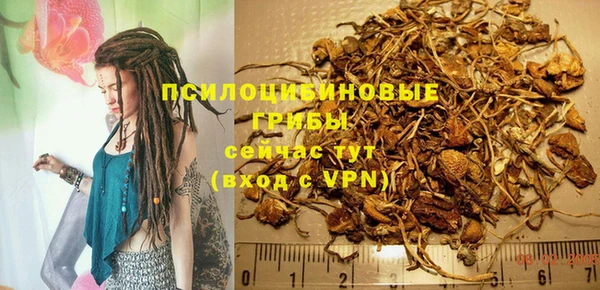 spice Лиски