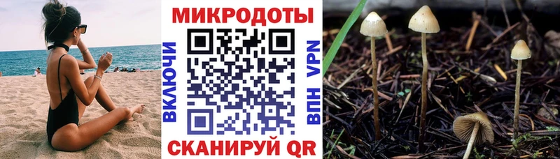 Галлюциногенные грибы мицелий  где купить   Долгопрудный 