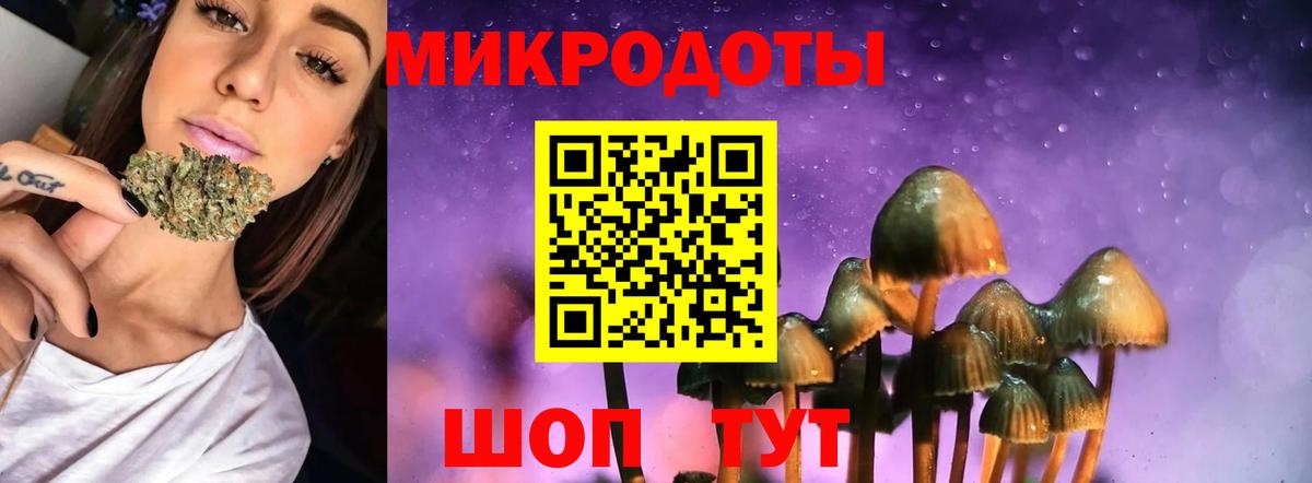Псилоцибиновые грибы Psilocybine cubensis Долгопрудный